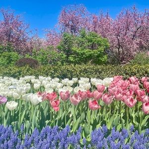 Come shop my closet! 🛍️